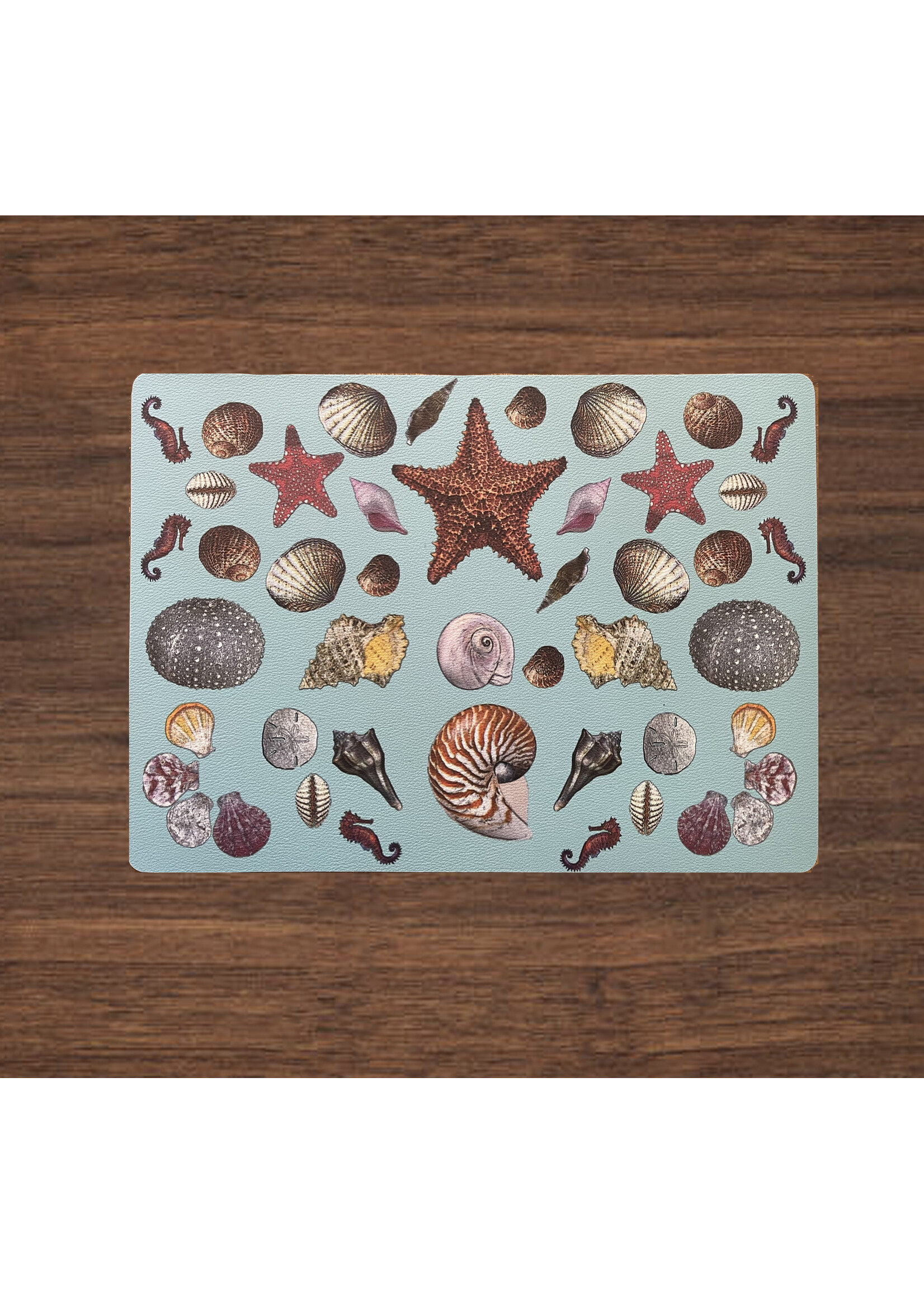 Alphie and Ollie sea shells vinyl placemat 12 x 17 inches