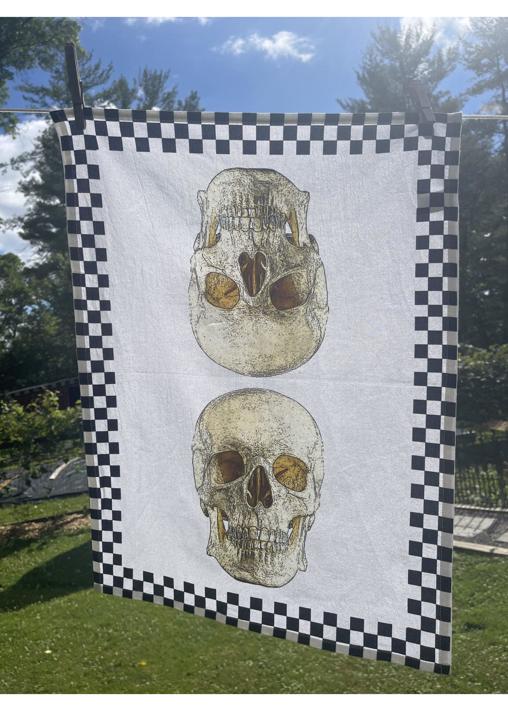 Alphie and Ollie skull and check cotton floursack kitchen towel 18 x 24 inches