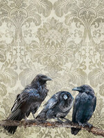 Alphie and Ollie Ravens cotton floursack kitchen towel 18 x 24 inches