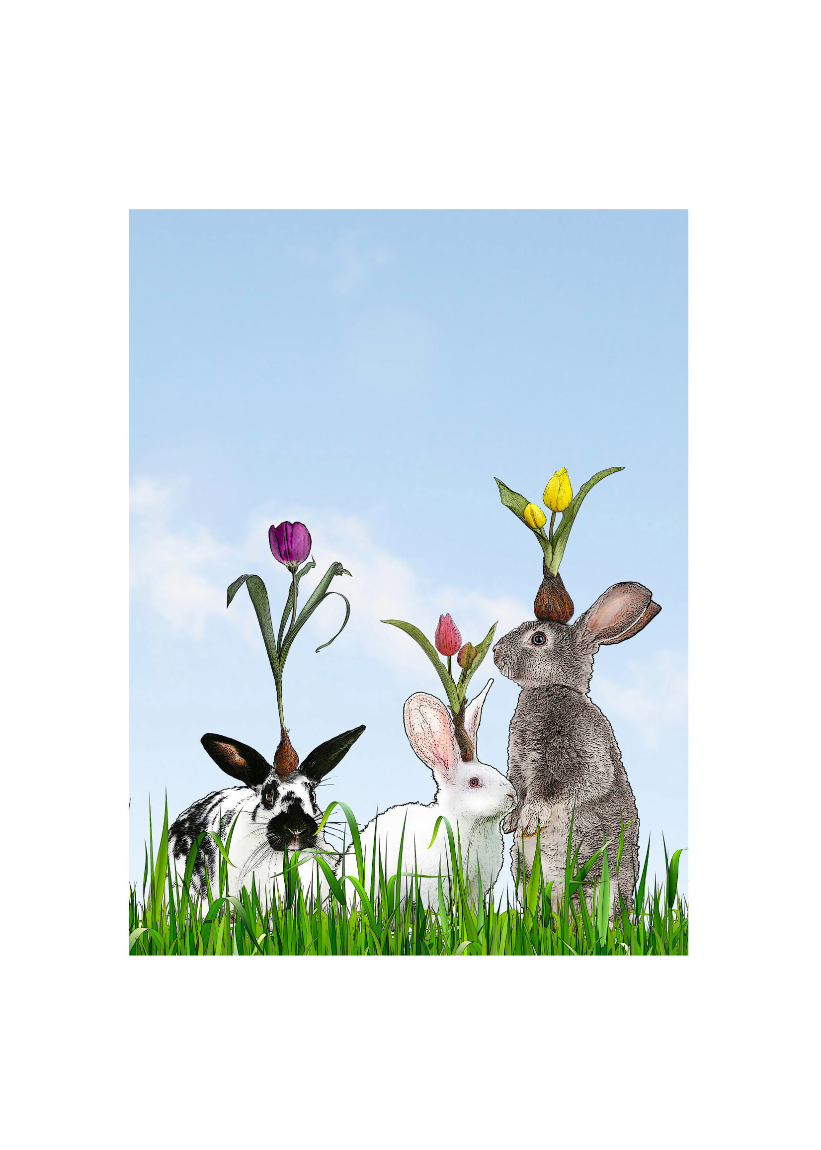 Alphie and Ollie bunnies and tulips cotton floursack kitchen towel 18 x 24 inches