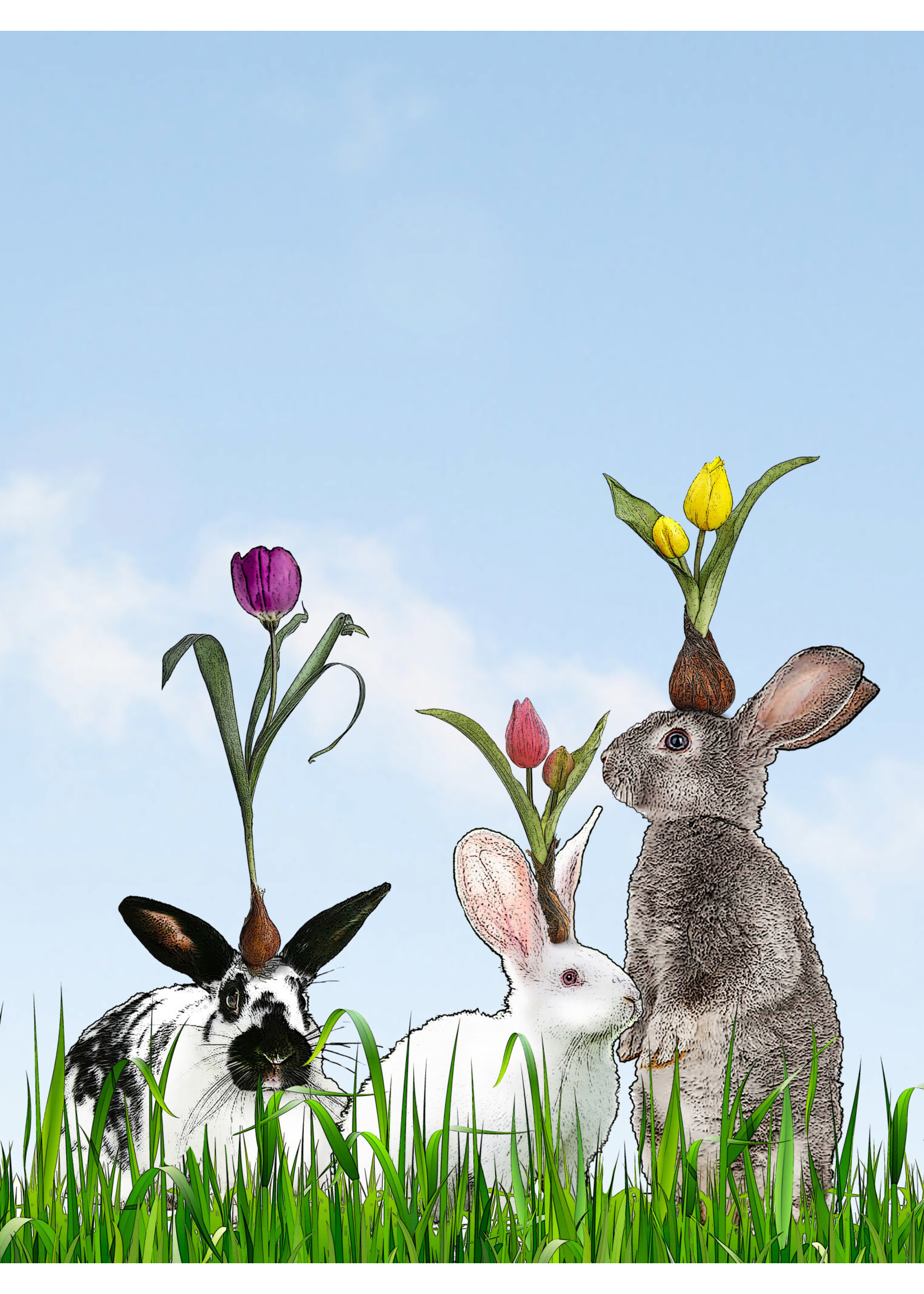 Alphie and Ollie bunnies and tulips cotton floursack kitchen towel 18 x 24 inches