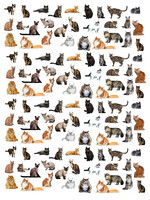 Alphie and Ollie cat kitchen towel 18 x 24 inches flour sack material