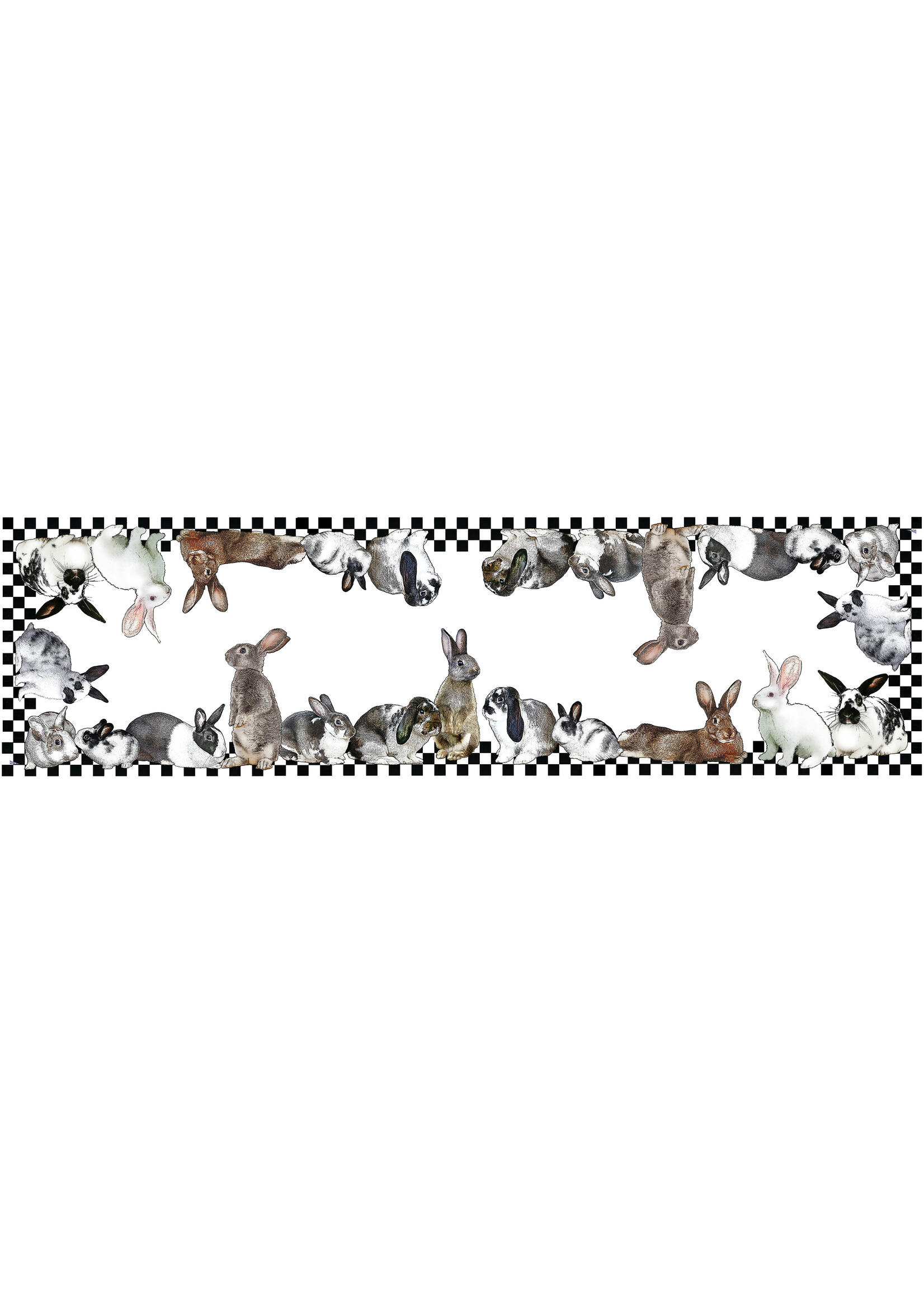 Alphie and Ollie bunnies table runner 20 x 70 inches