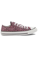 Converse Chuck Taylor All Star Low- Cheetah Pink