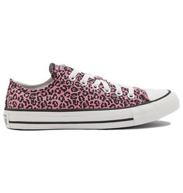 Converse Chuck Taylor All Star Low- Cheetah Pink