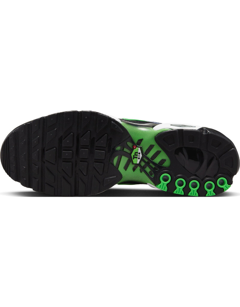 Nike Air Max Plus Ifp- Black/Green/White/Royal