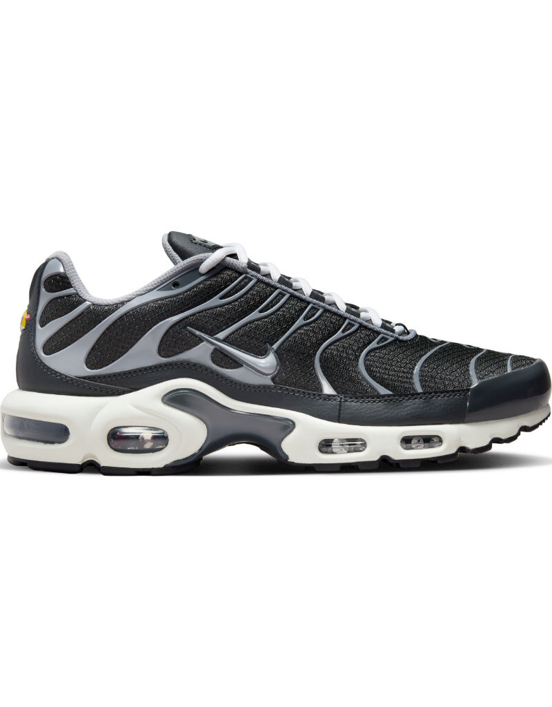 Nike Air Max Plus Ewt- Black/Grey