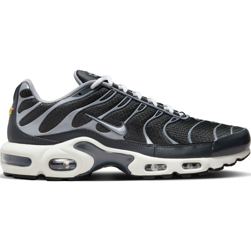 Nike Air Max Plus Ewt- Black/Grey