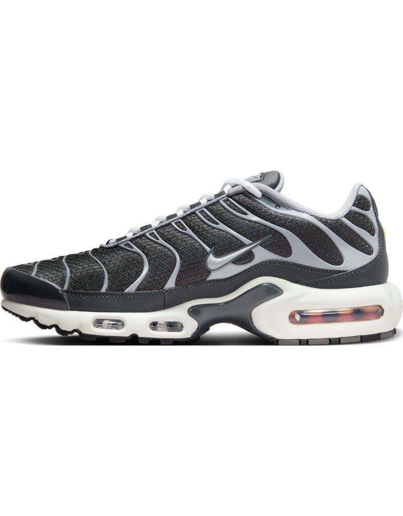 Nike Air Max Plus Ewt- Black/Grey