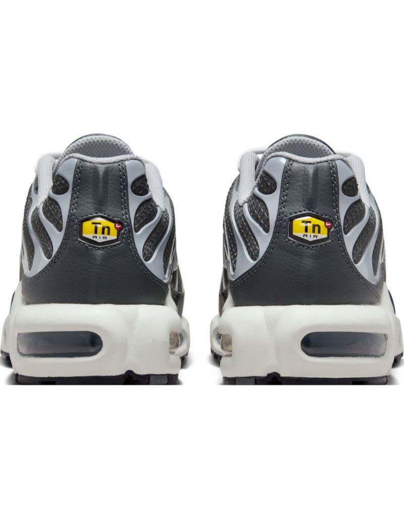 Nike Air Max Plus Ewt- Black/Grey