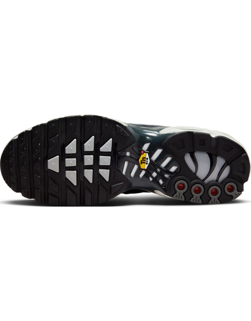 Nike Air Max Plus Ewt- Black/Grey