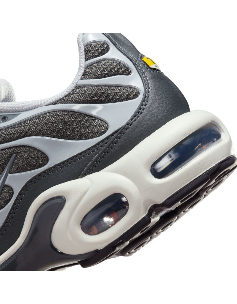 Nike Air Max Plus Ewt- Black/Grey