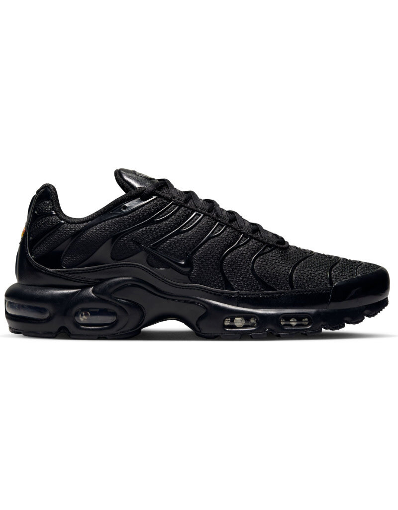 Nike Air Max Plus- Black/Black/Black
