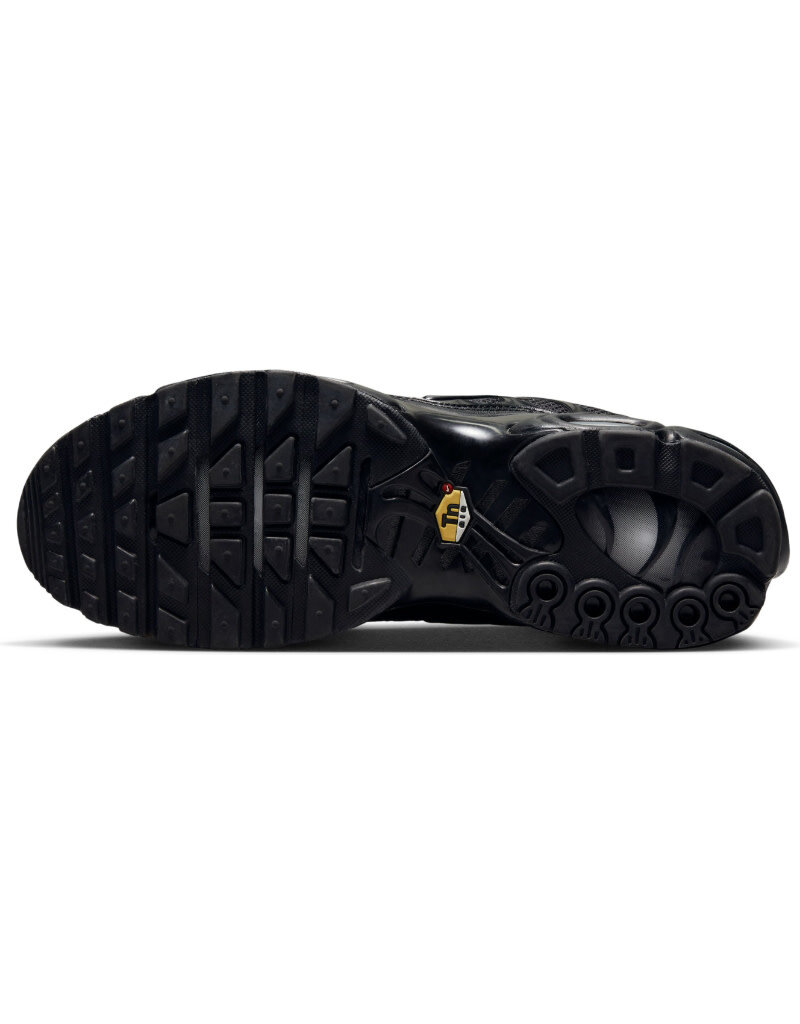 Nike Air Max Plus- Black/Black/Black
