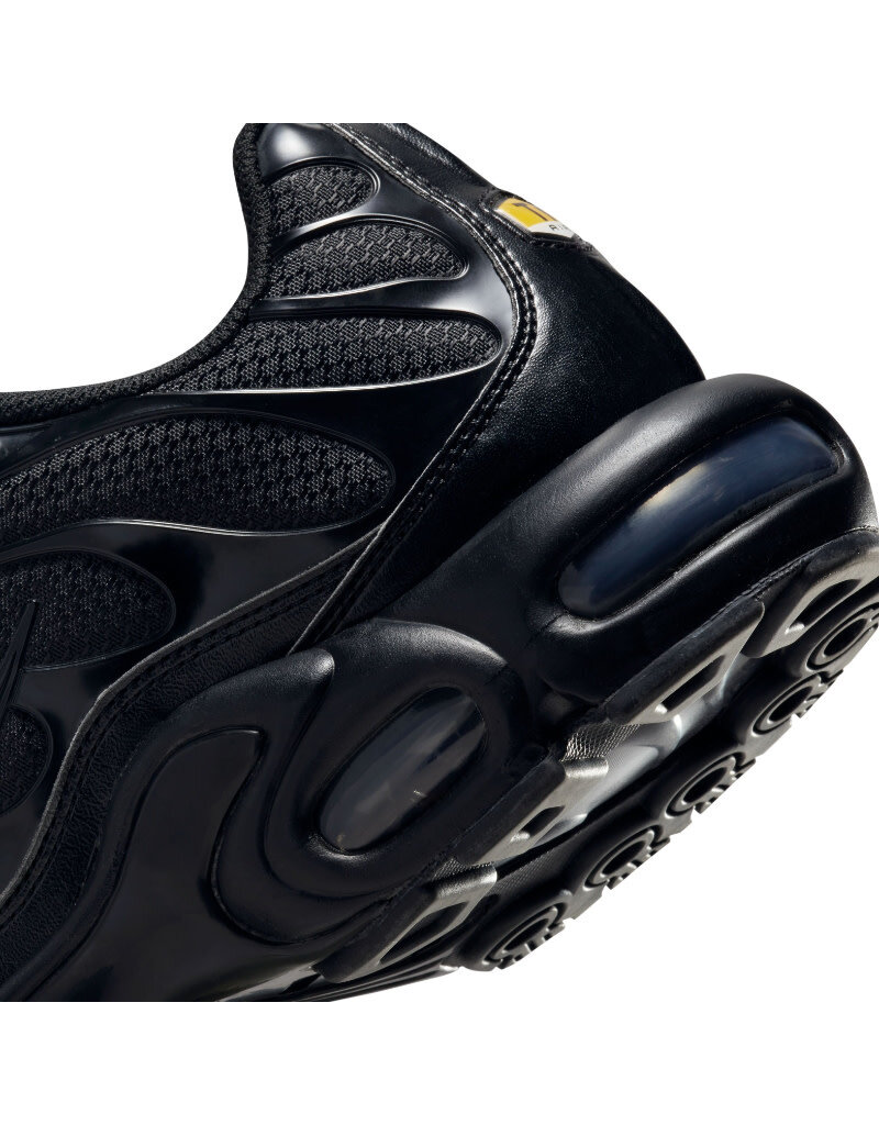 Nike Air Max Plus- Black/Black/Black