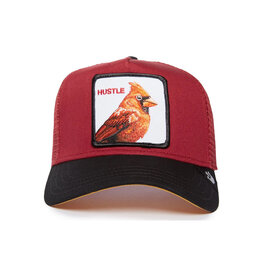 Goorin Bros The Hustle Bird - Burgundy