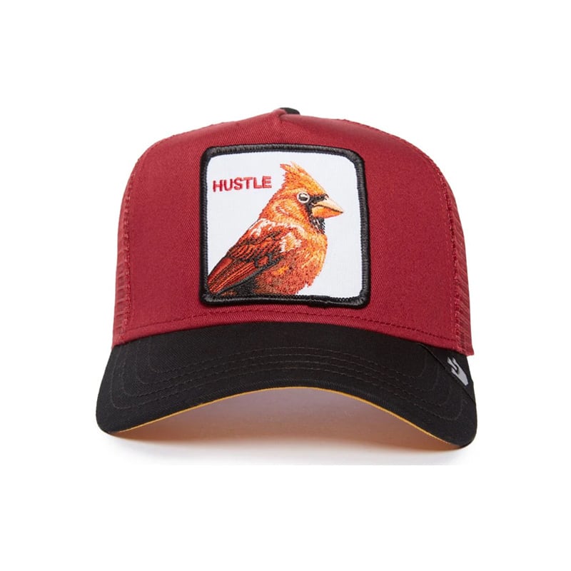 Goorin Bros The Hustle Bird - Burgundy