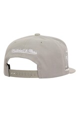 Mitchell & Ness Nba Evergreen Grey White Snapback Lakers- Grey
