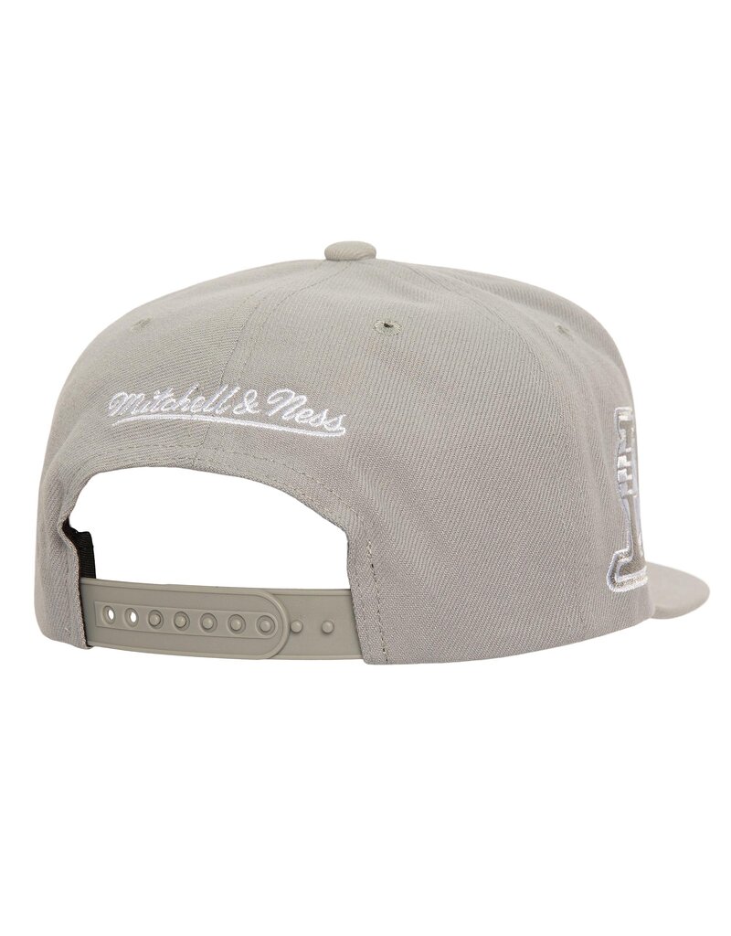 Mitchell & Ness Nba Evergreen Grey White Snapback Lakers- Grey