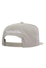 Mitchell & Ness Nba Evergreen Grey White Snapback Bulls- Grey/White