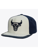 Mitchell & Ness Mitchell And Ness Nba Day One Snapback- White/Blue
