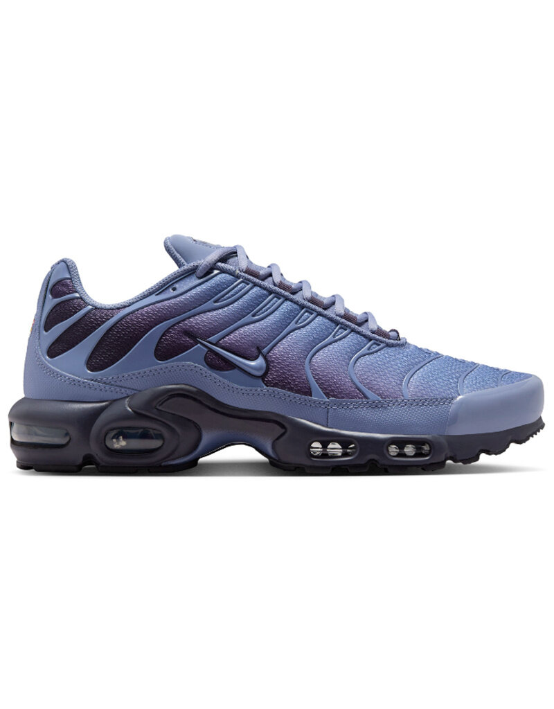 Nike Nike Air Max Plus Og- World Indigo
