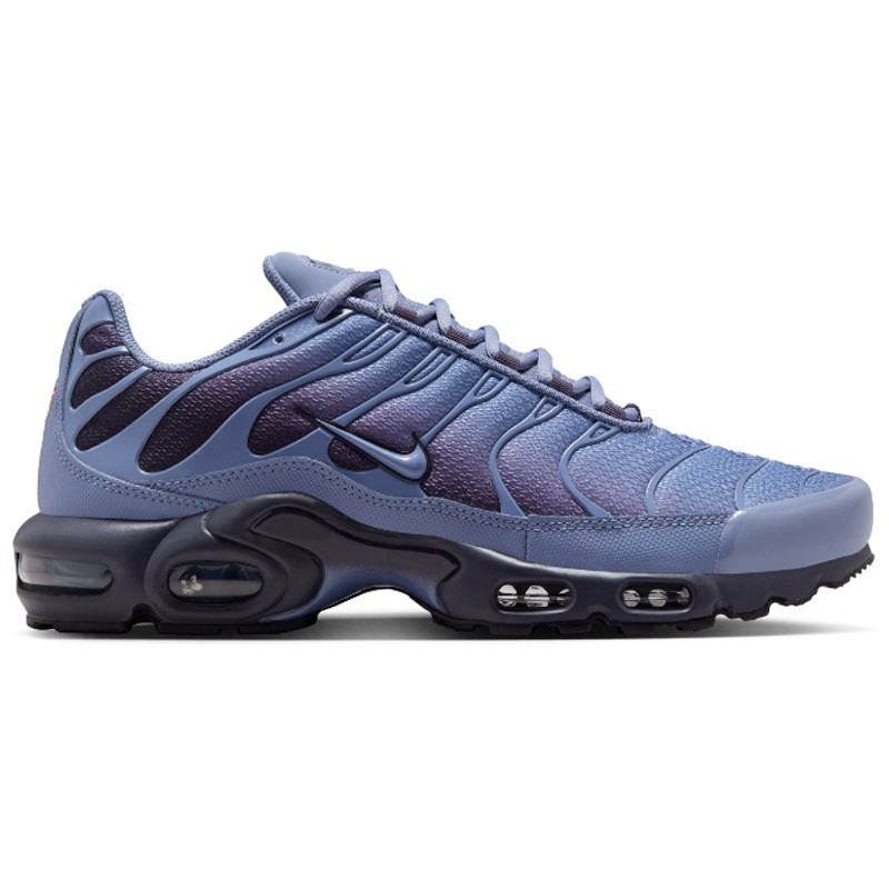 Nike Nike Air Max Plus Og- World Indigo