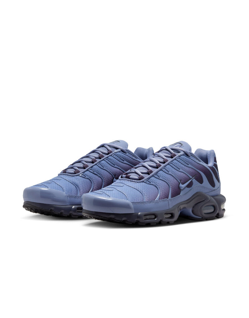 Nike Nike Air Max Plus Og- World Indigo