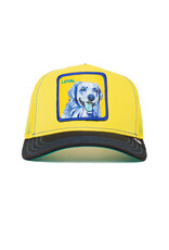 Goorin Bros Doggy Trip - Yellow