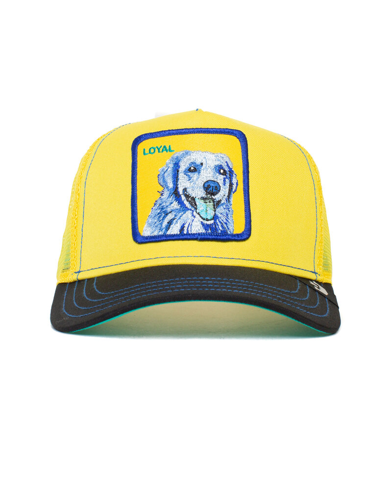 Goorin Bros Doggy Trip - Yellow