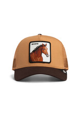 Goorin Bros Gaucho Trucker - Amber