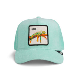 Goorin Bros Terry Cloth Iguana - Mint