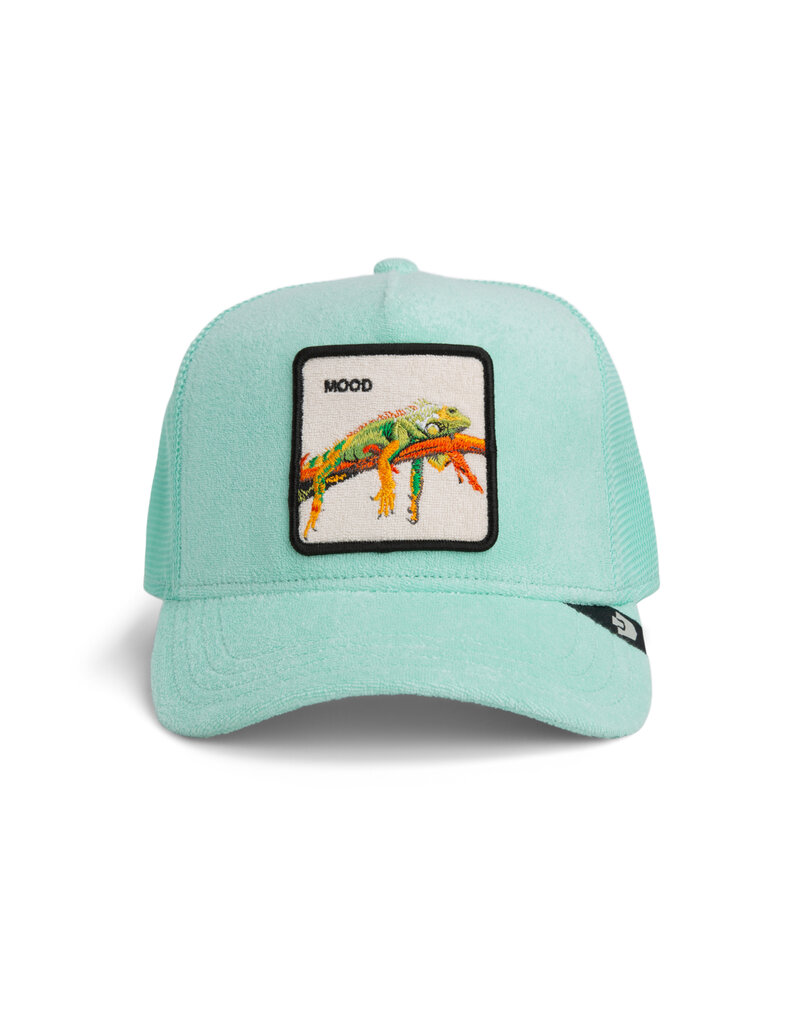 Goorin Bros Terry Cloth Iguana - Mint