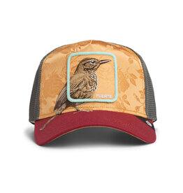 Goorin Bros Costa Rica Thrush- Amber
