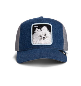 Goorin Bros Diva Dawg - Light Denim