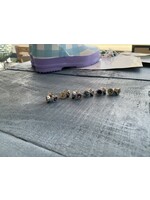 Jordans Halo CZ Birthstone Earring Aug