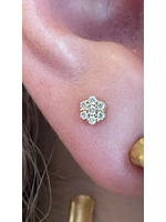 Jordans 14k Floral Cluster Screwback Studs .14cttw