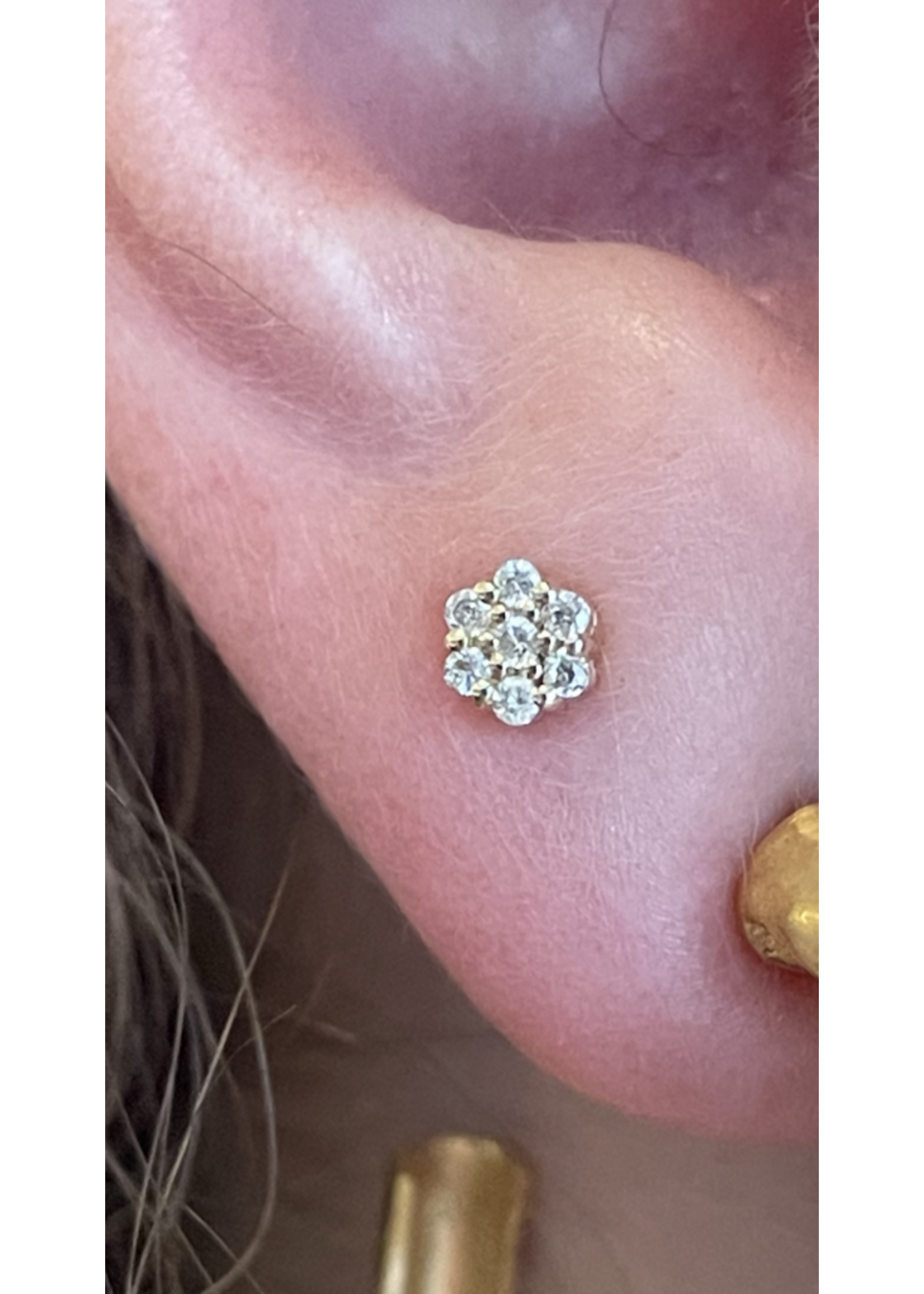 Jordans 14k Floral Cluster Screwback Studs .14cttw