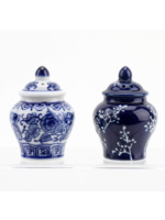 Jordans Ginger Jar Salt and Pepper - Small BiColor