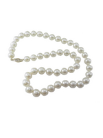 Jordans 9-10mm FW Pearl Necklace 14k