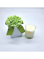 Jordans Citron Boxed Candle