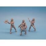 Dungeons & Dragons Dungeons & Dragons - Figurines - Orc Females