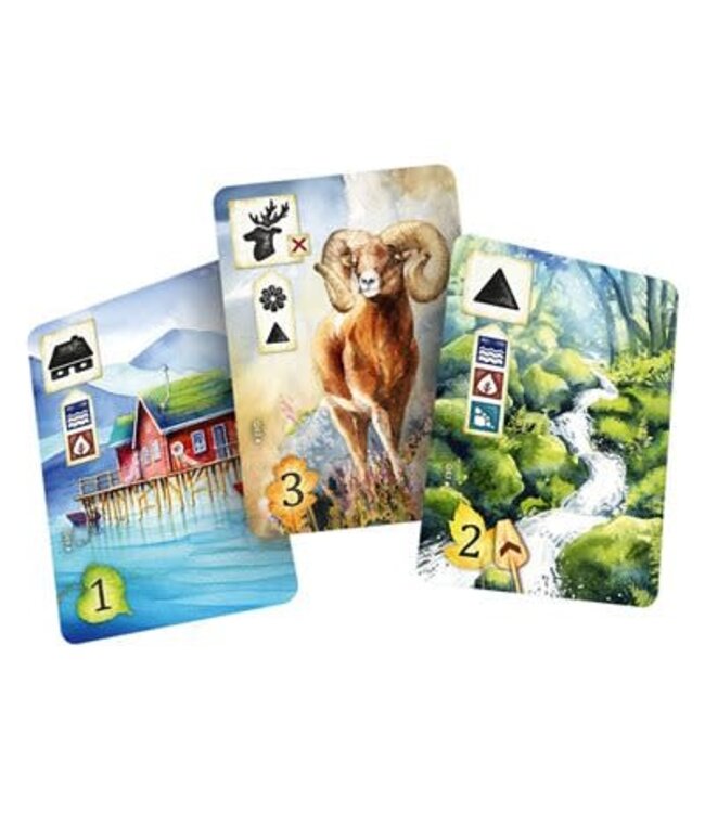 MEADOW: DOWNSTREAM (ML)