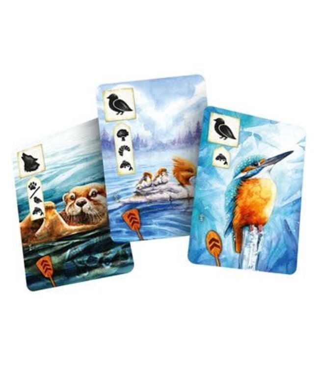 MEADOW: DOWNSTREAM (ML)