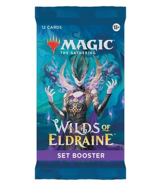 Magic the Gathering: Wilds of Eldraine Set Booster (EN)