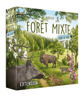 FORÊT MIXTE: LISIÈRE DE FORÊT (FR)