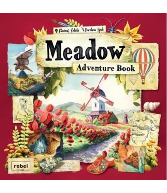 MEADOW: ADVENTURE BOOK (ML)