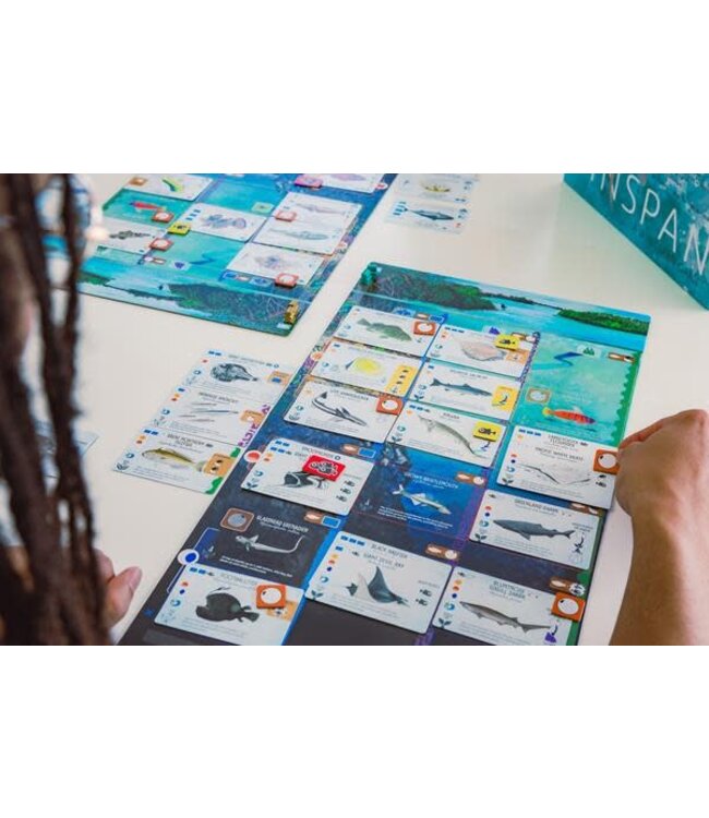 FINSPAN  -  BASE GAME (FR)