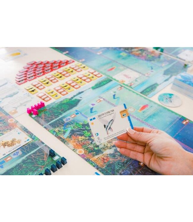 FINSPAN  -  BASE GAME (FR)