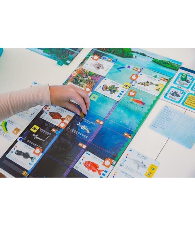 FINSPAN  -  BASE GAME (FR)